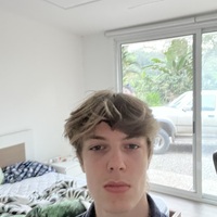 Bram Willekens